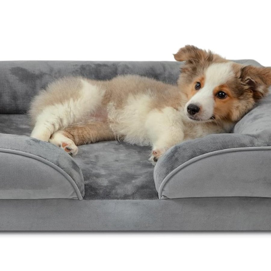 Medium dog sofa best sale